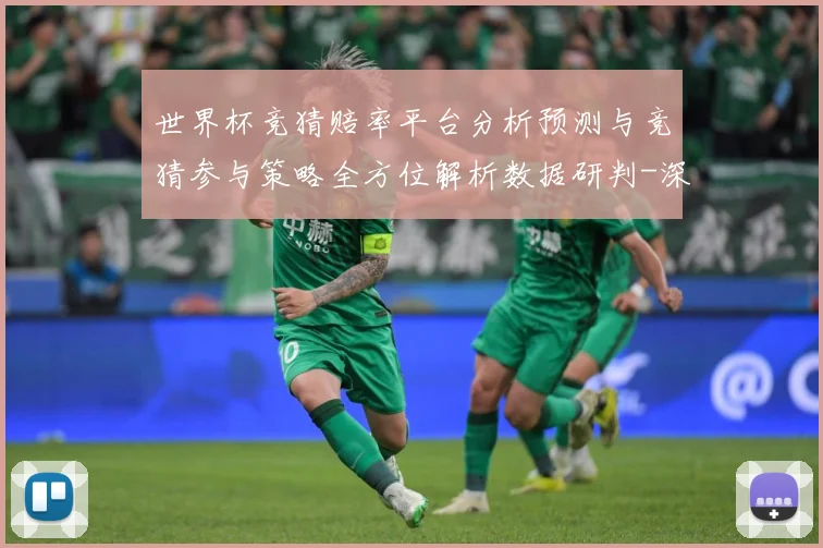 世界杯竞猜赔率平台分析预测与竞猜参与策略全方位解析数据研判-深度解析