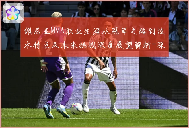 佩尼亚MMA职业生涯从冠军之路到技术特点及未来挑战深度展望解析-深度解析